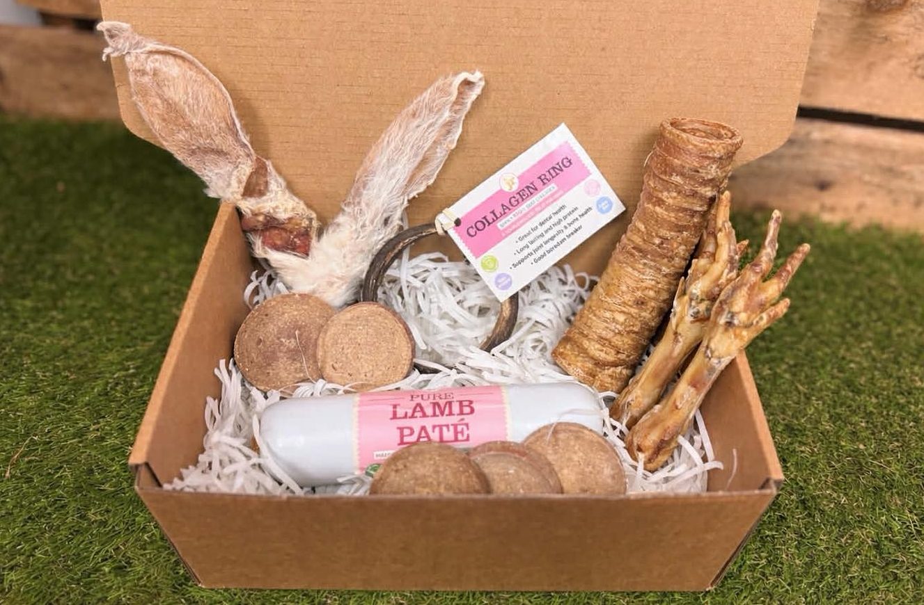 dog chew training treat bundle box